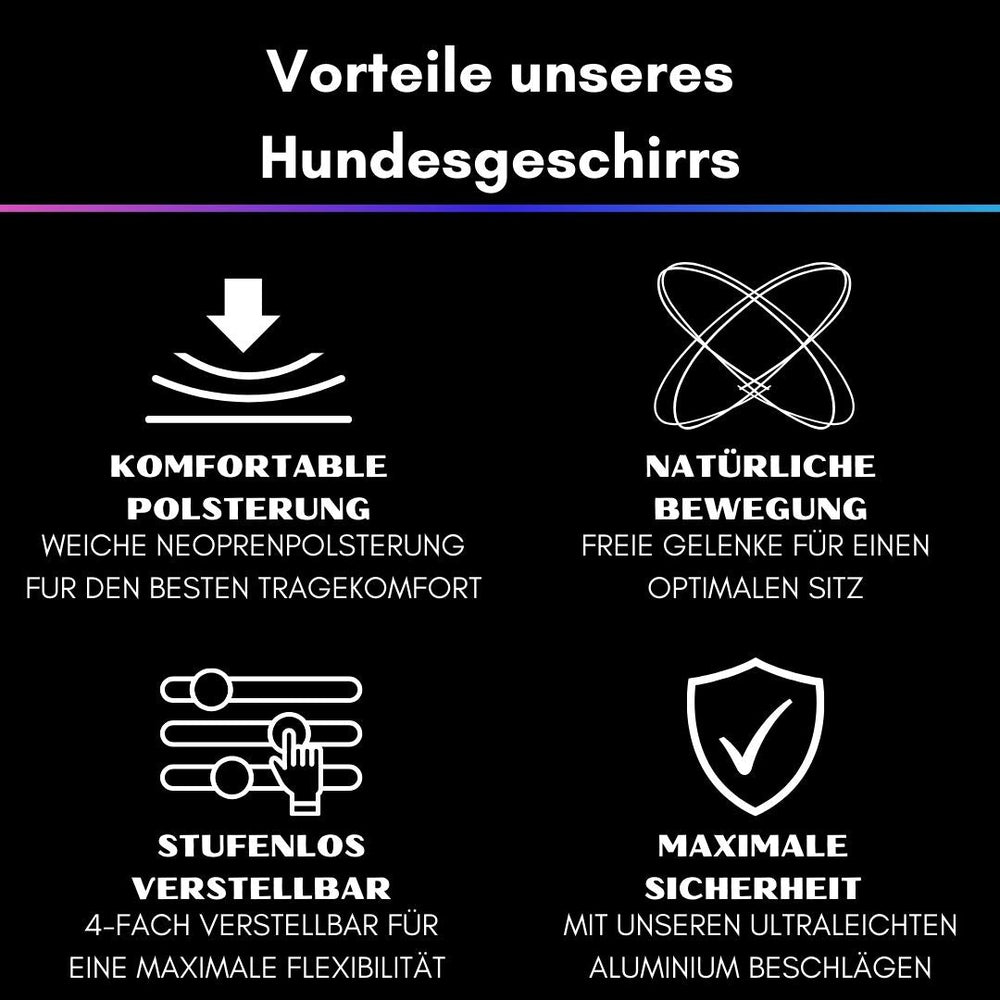 Grafische Darstellung der Vorteile eines Y-Hundegeschirrs: Polsterung, Bewegungsfreiheit und mehr.
