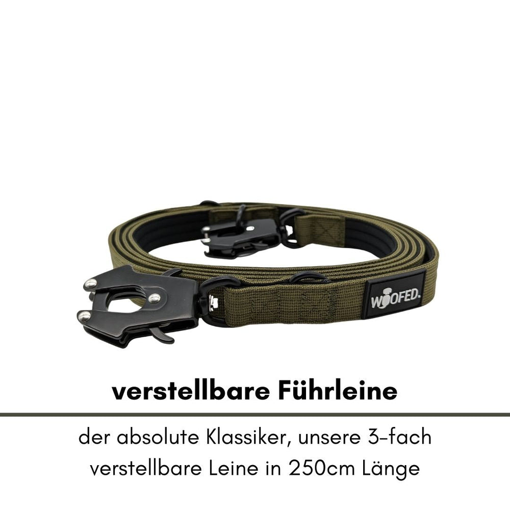 Verstellbare olivgrüne Führleine mit robustem Froschkarabiner, 250 cm lang, ideal für Hunde und Spaziergänge.
