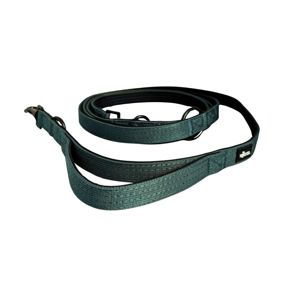 Nylon Führleine Classic in grün, robust, mit Neoprenpolsterung und Karabinerhaken für Hunde, ideal für Spaziergänge und Train