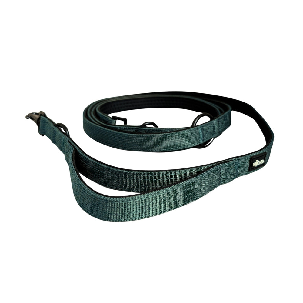 Nylon Führleine Classic in grün, robust, mit Neoprenpolsterung und Karabinerhaken für Hunde, ideal für Spaziergänge und Train