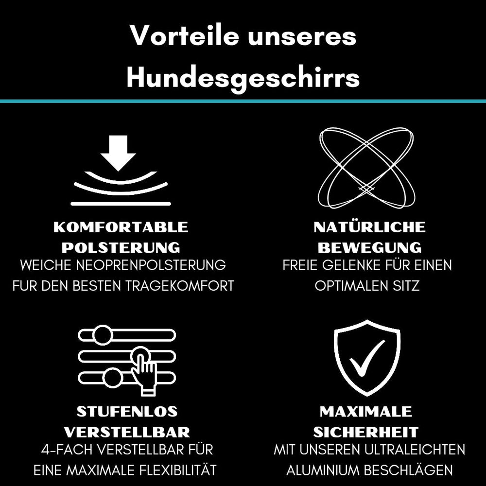 Grafische Übersicht des Y-Hundegeschirrs mit Griff und seinen Vorteilen: Polsterung, Sicherheit, Kontrolle und Robustheit.