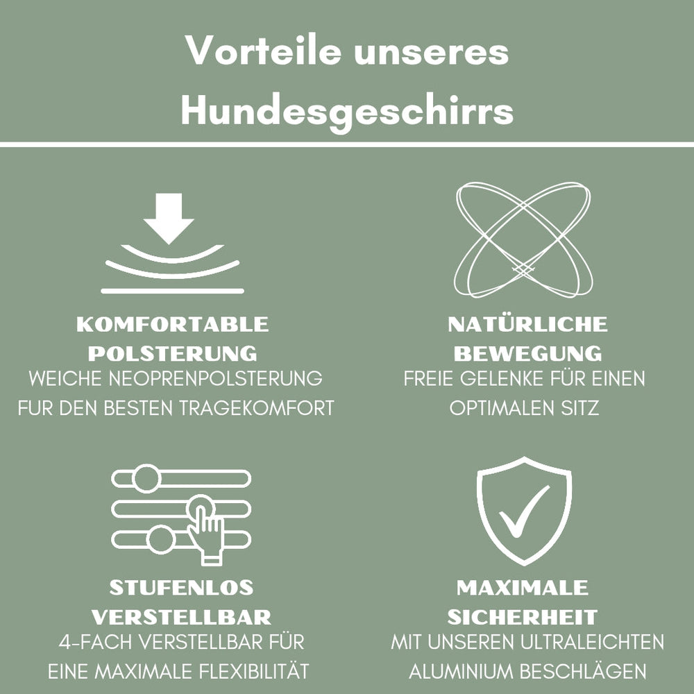Y-Hundegeschirr mit Griff: Komfortable Polsterung und natürliche Bewegungsfreiheit für deinen Hund.