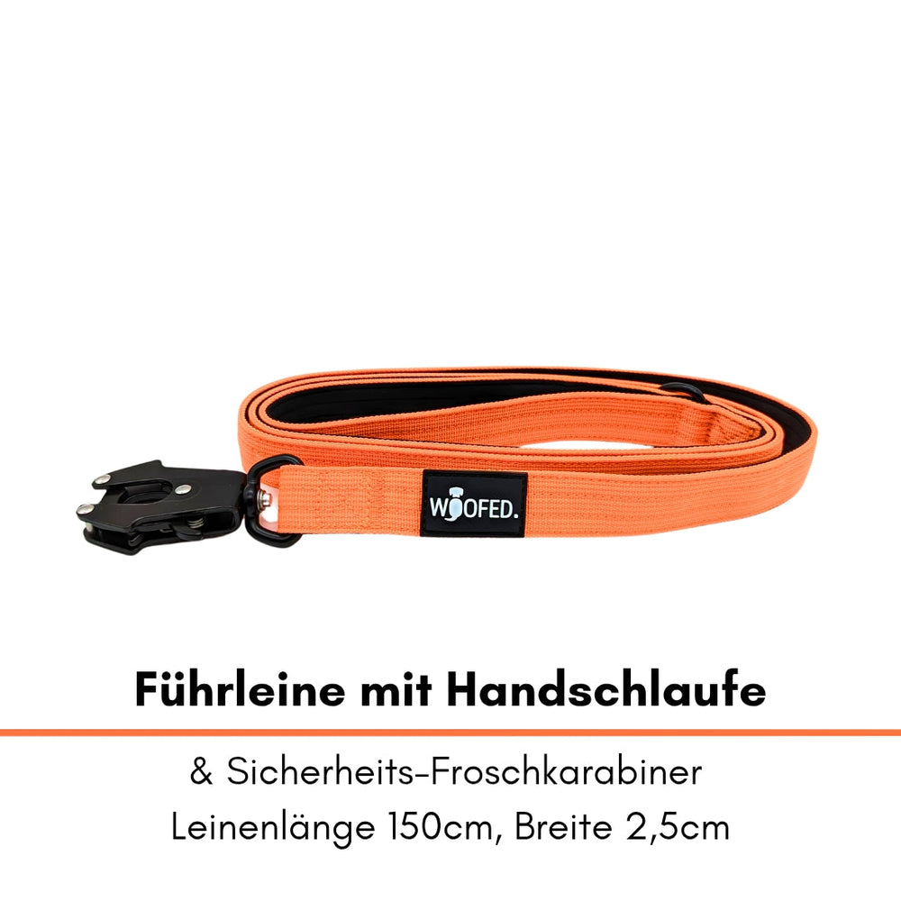 Orange Führleine mit Handschlaufe, 150 cm lang, 2,5 cm breit und Sicherheits-Froschkarabiner für sicheres Ausführen von Haustieren.