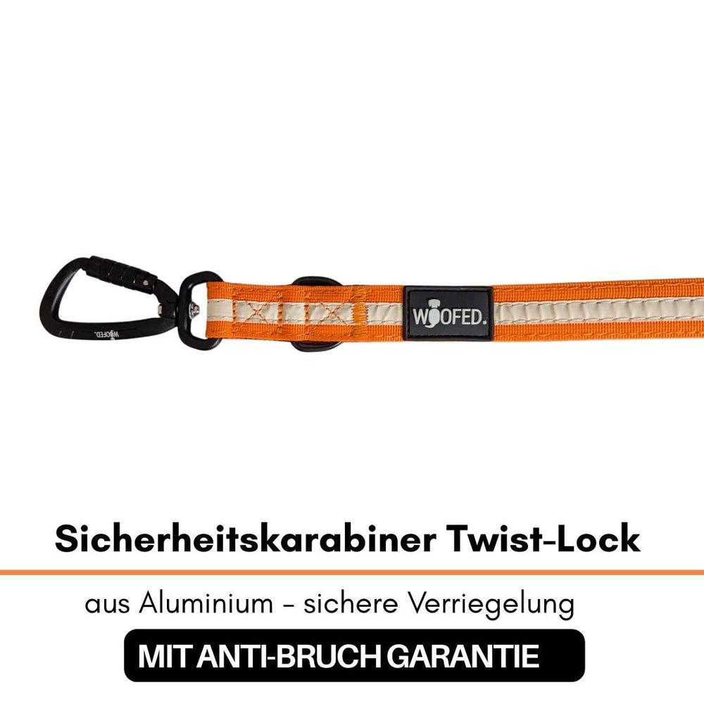 Sicherheitskarabiner aus Aluminium mit Twist-Lock und orangefarbener Leine, ideal für Outdoor-Aktivitäten.