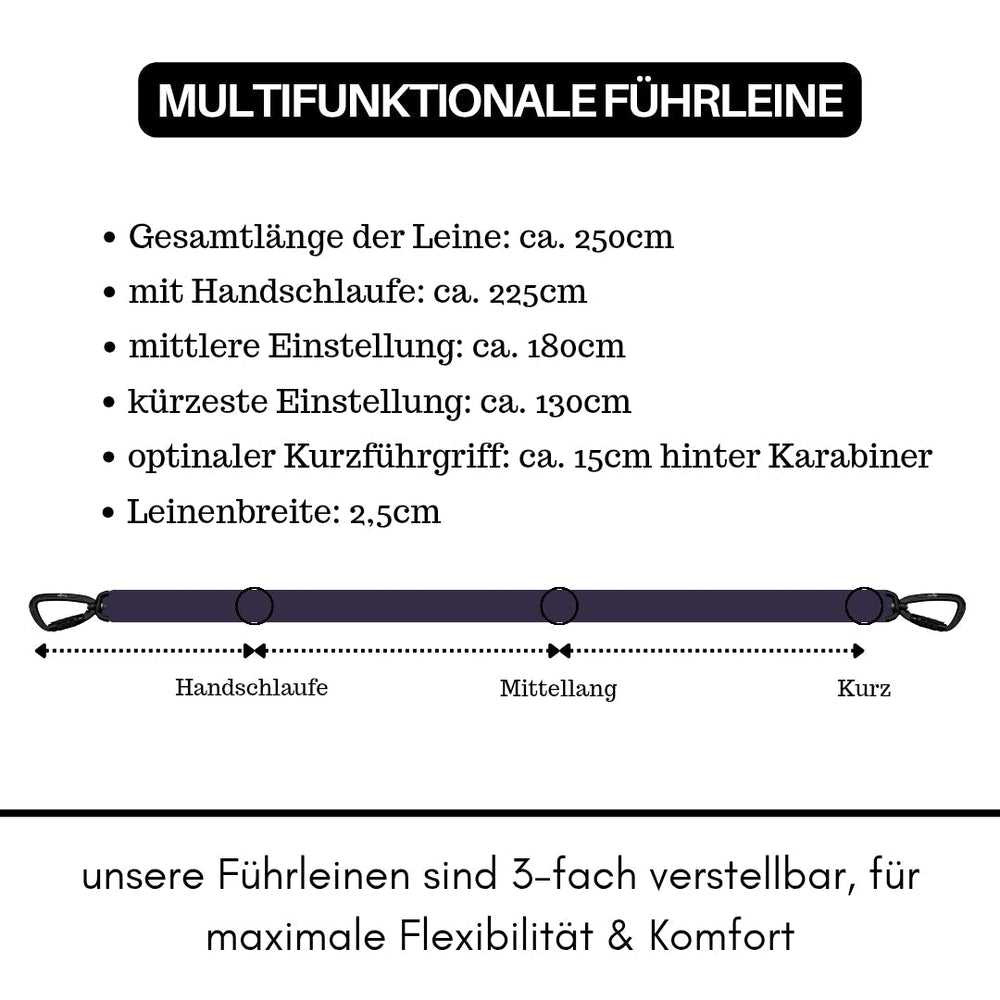 Multifunktionale Nylon-Führleine mit Sicherheitskarabiner und variabler Länge von 250 cm für optimale Kontrolle.