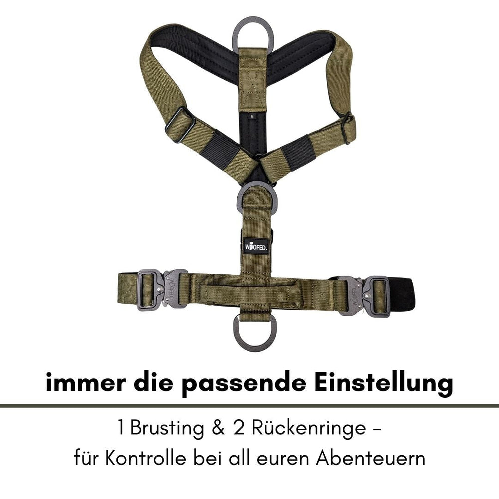 Olivgrünes Y-Hundegeschirr mit gepolsterten Gurten, zwei Metallringen und verstellbarer Schnalle für optimalen Halt.