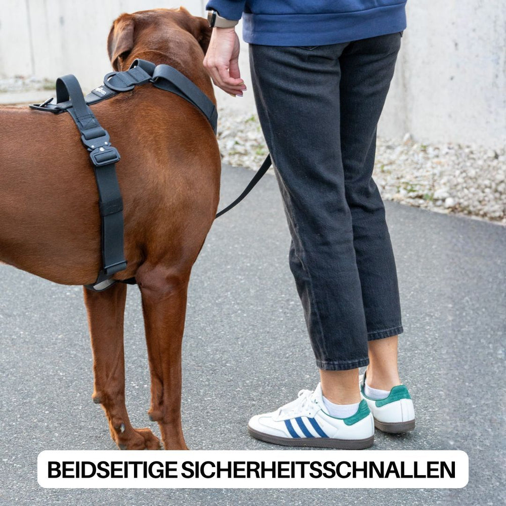 Brauner Hund mit WOOFLEX® Y-Hundegeschirr und Griff, geführt von Person in blauer Jacke und schwarzen Hosen.