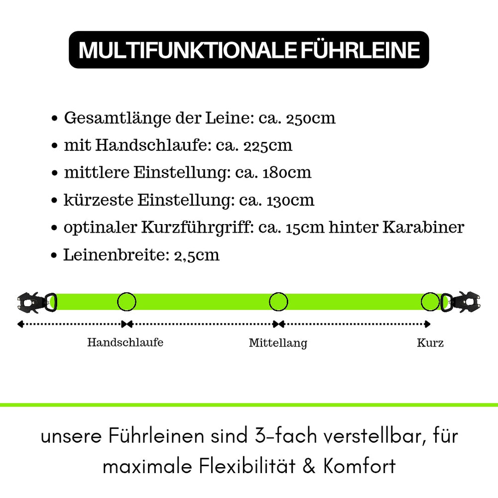 Mehrfarbige Führleine aus Nylon mit Froschkarabiner, 250 cm lang und verstellbar für optimale Haltbarkeit und Flexibilität.