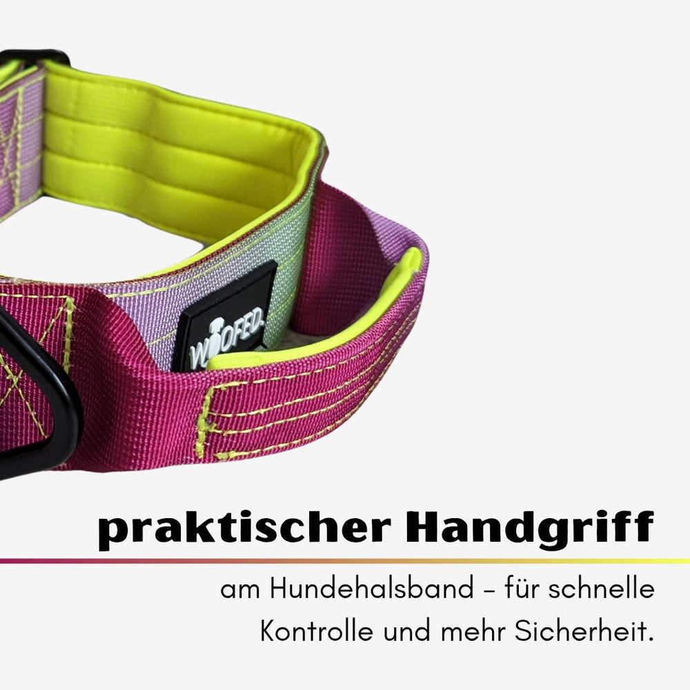 "Buntes Nylon-Halsband für kleine Hunde mit praktischem Handgriff und Aluminiumverschluss in Pink und Gelb."