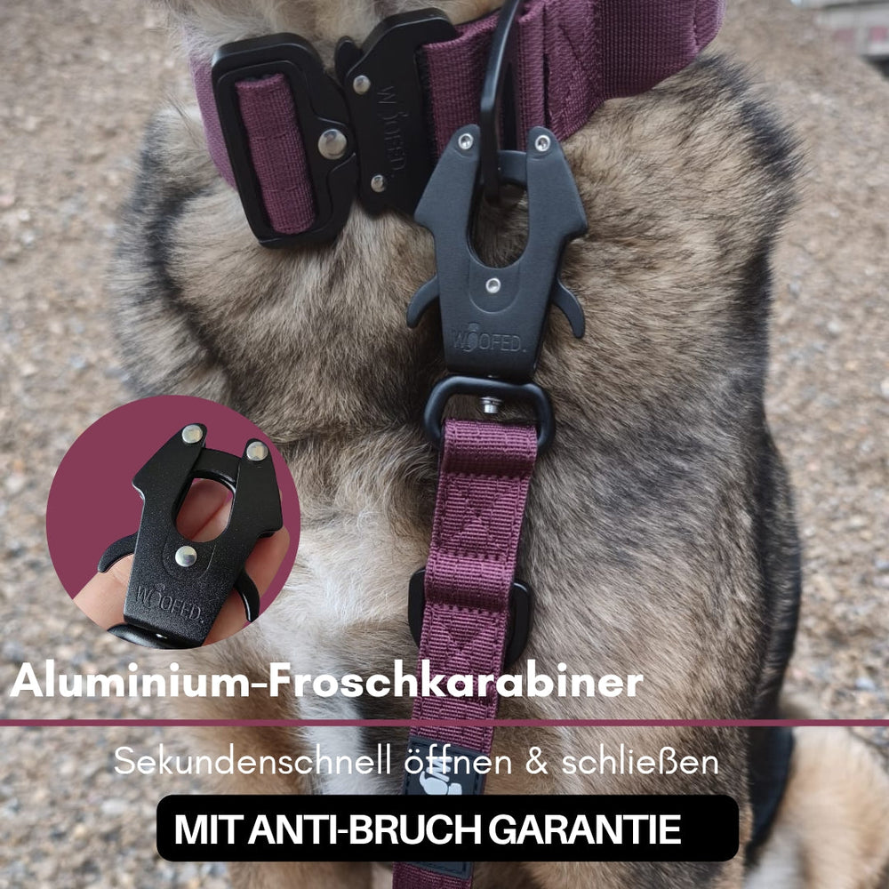 Führleine mit Nylon und Aluminium-Froschkarabiner, sicher am Hundegeschirr befestigt, ideal für Spaziergänge.