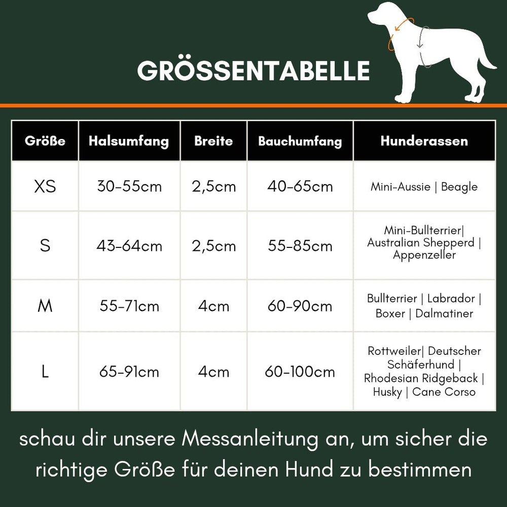 Größentabelle für das Y-Hundegeschirr WOOFLEX® mit Hals- und Bauchumfang für verschiedene Hundegrößen.