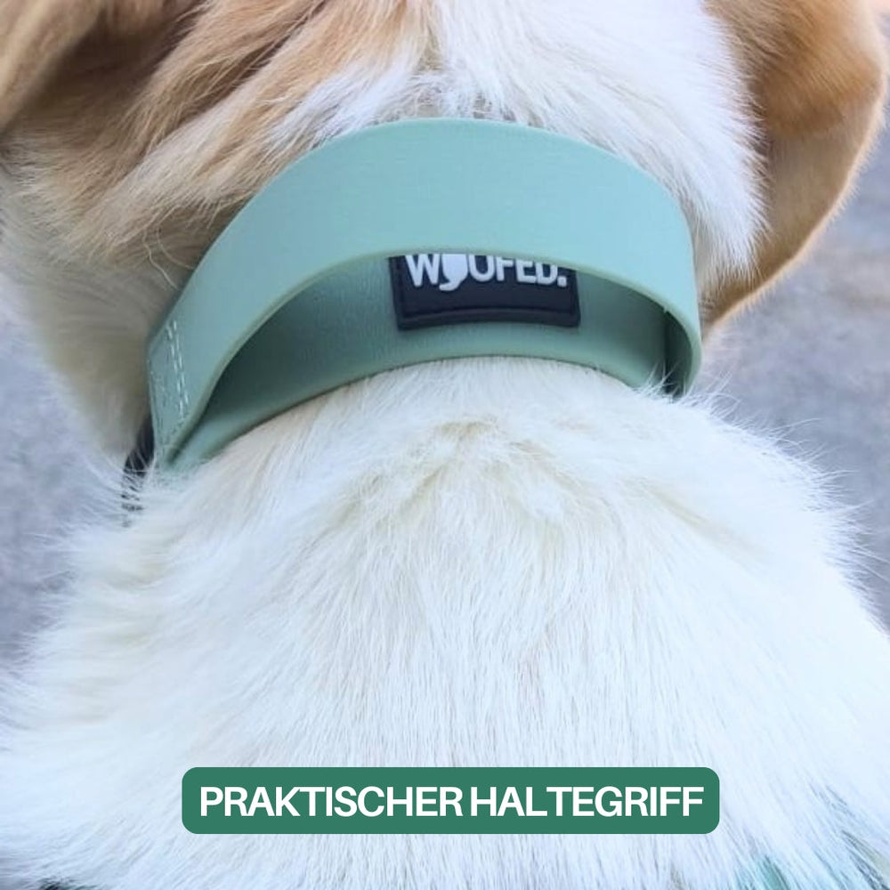Verstellbares WOOFLEX® Halsband für Hunde in Grün mit praktischem Haltegriff, passend für jeden Halsumfang.