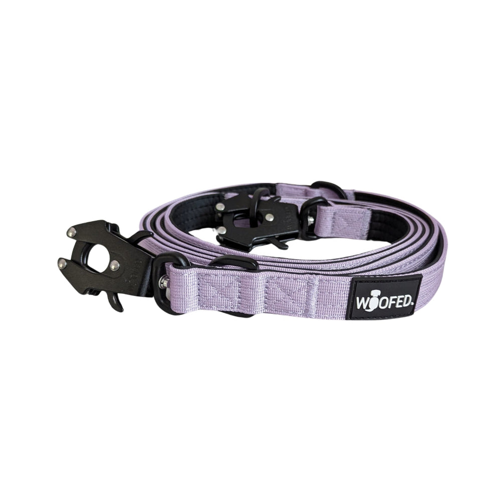 "Lila Hundeleine aus strapazierfähigem Nylon mit Froschkarabiner und Befestigungsöse für sicheren Hundetransport."