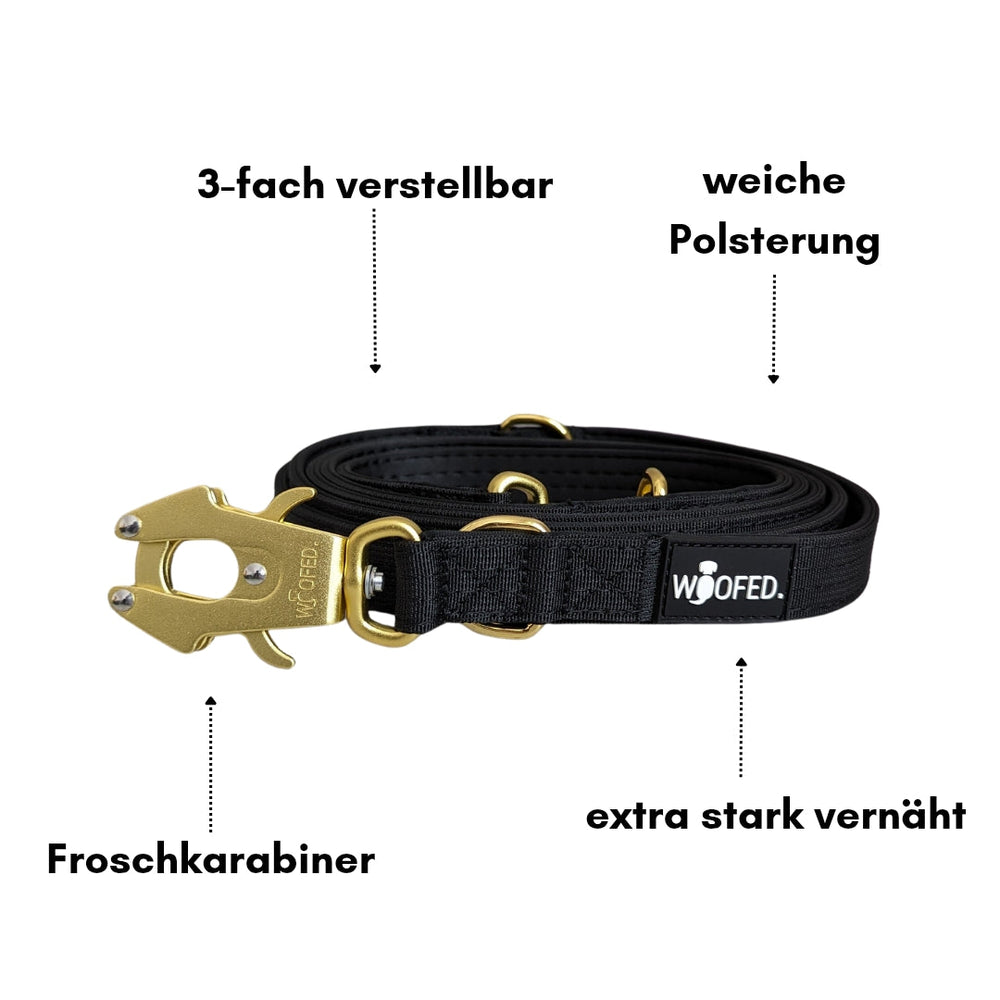 Verstellbare Hundeleine aus Nylon mit weicher Polsterung und robustem Froschkarabiner für optimale Sicherheit und Komfort.