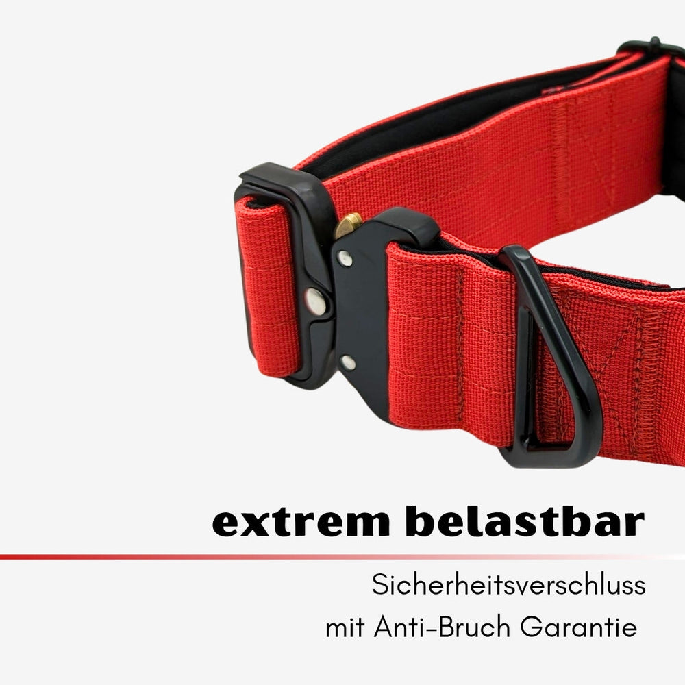 Robustes rotes Halsband aus Nylon für kleine Hunde mit sicherem Aluverschluss und Anti-Bruch Garantie.