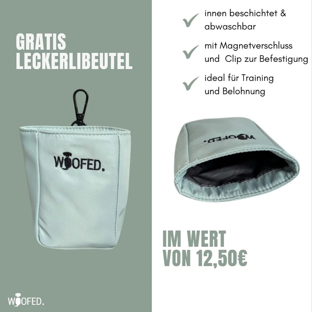 Graue multifunktionale Gassitasche mit Magnetverschluss und Clip, ideal als Bauchtasche und Schultertasche.