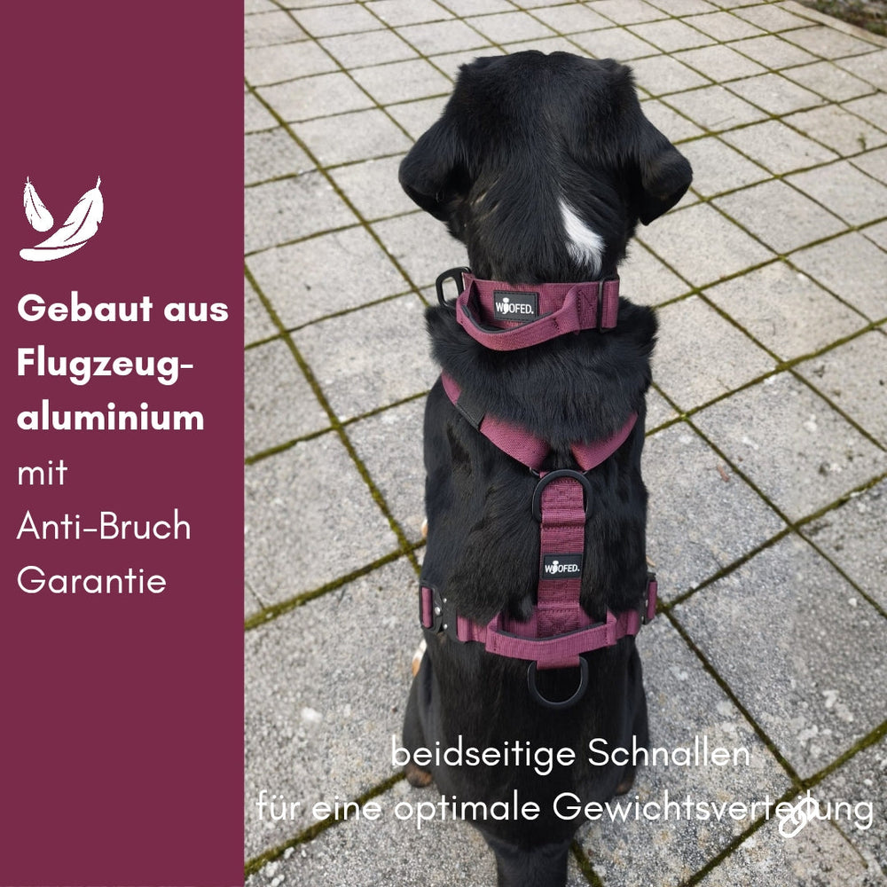 Schwarzer Hund im burgunderroten Y-Hundegeschirr aus Aluminium mit beidseitigen Schnallen und Anti-Bruch Garantie.
