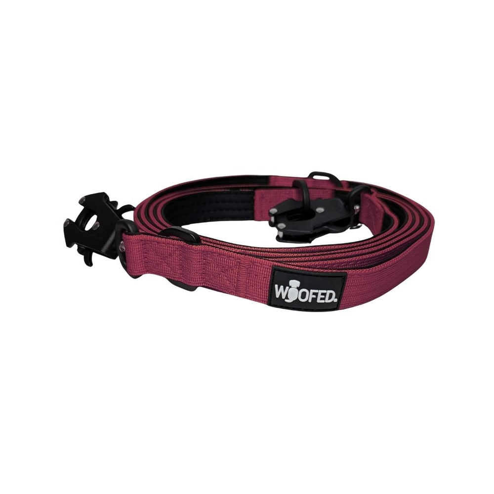 Hunde-Leine aus lila Nylon mit stabilen Froschkarabiner und praktischem Verschluss für sicheren Halt.
