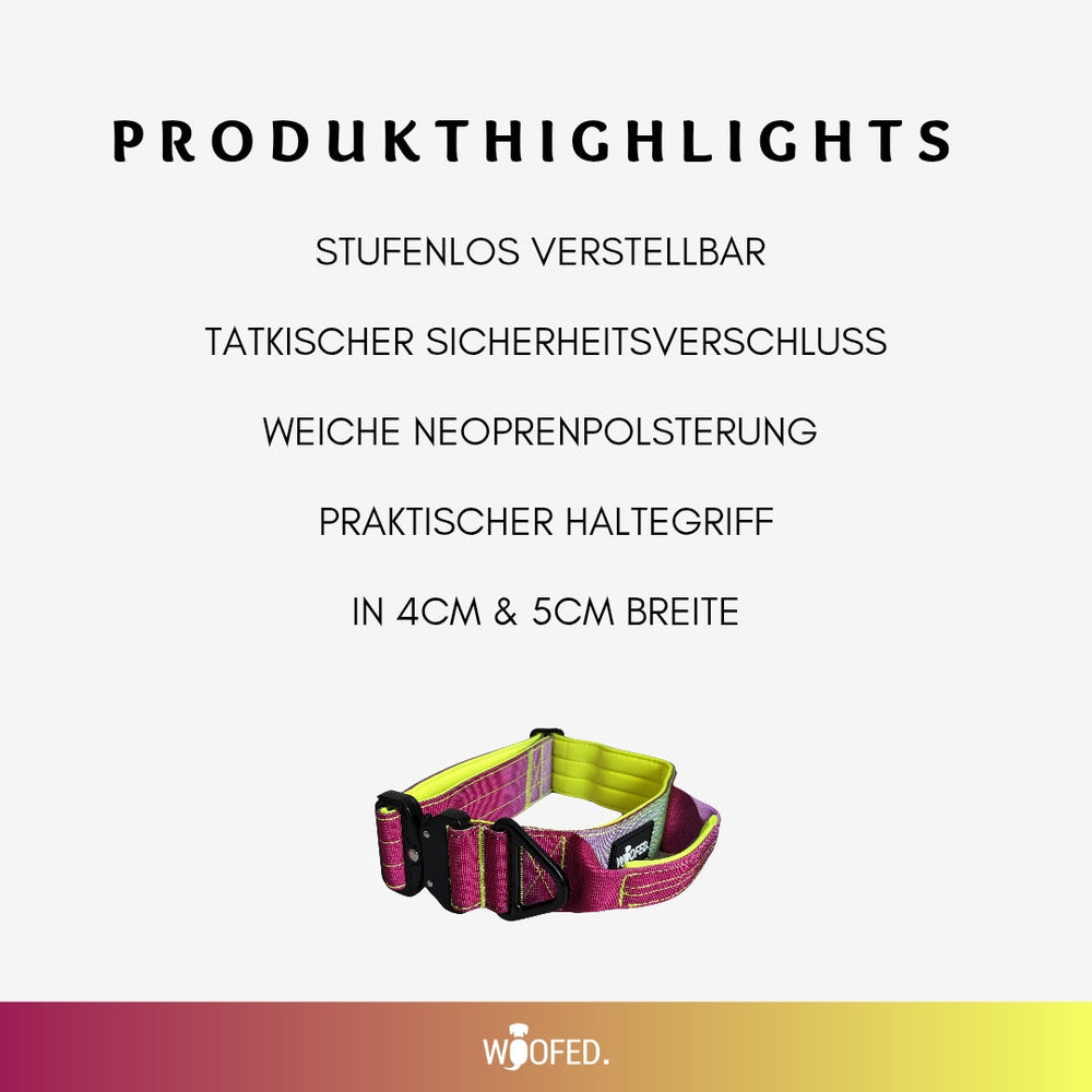 "Halsband für kleine Hunde aus Nylon mit Aluverschluss, stufenlos verstellbar und mit weicher Neoprenpolsterung."
