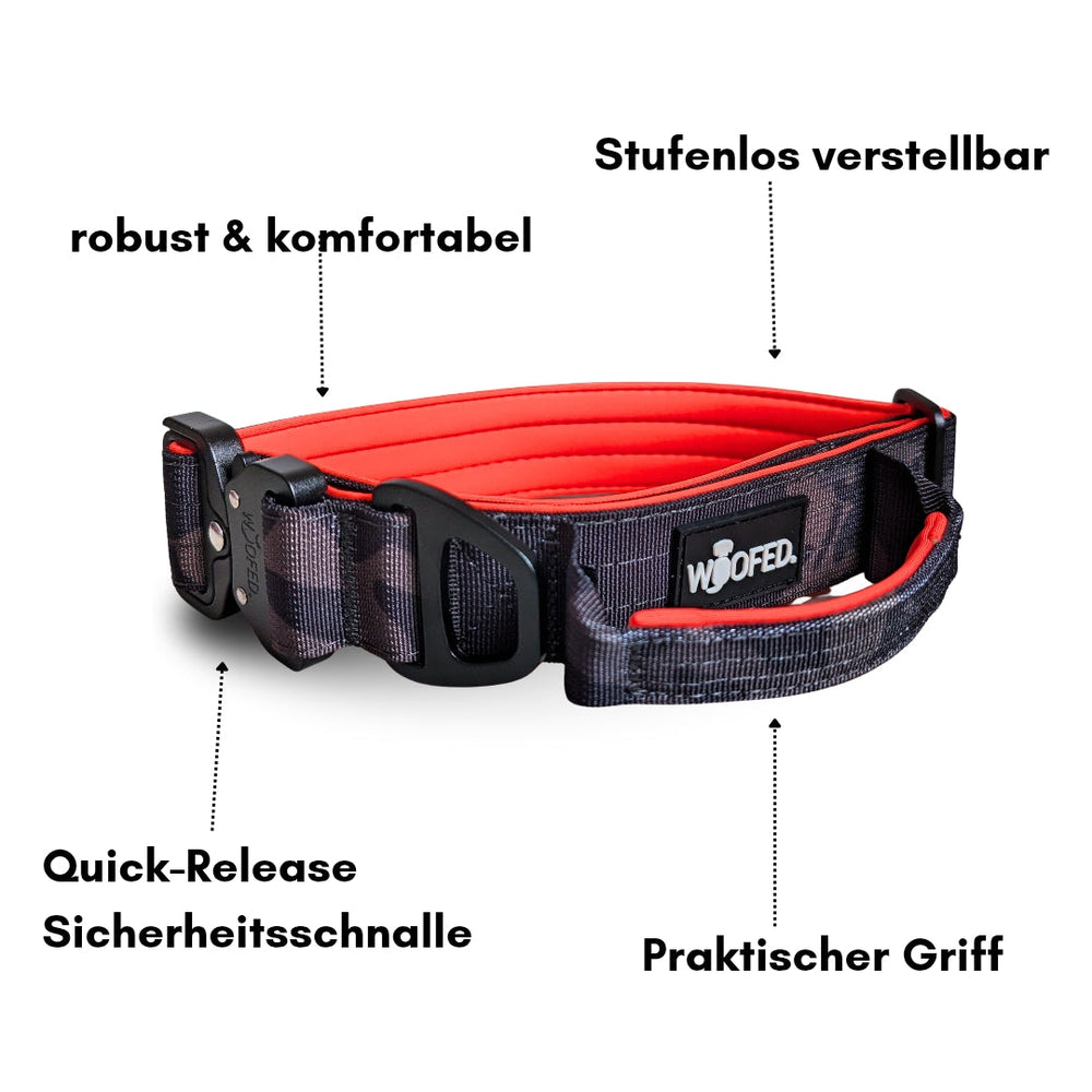 Schwarzes Nylonhalsband mit rotem Akzent, stufenlos verstellbar, mit Griff und Sicherheitsverschluss für Hunde.