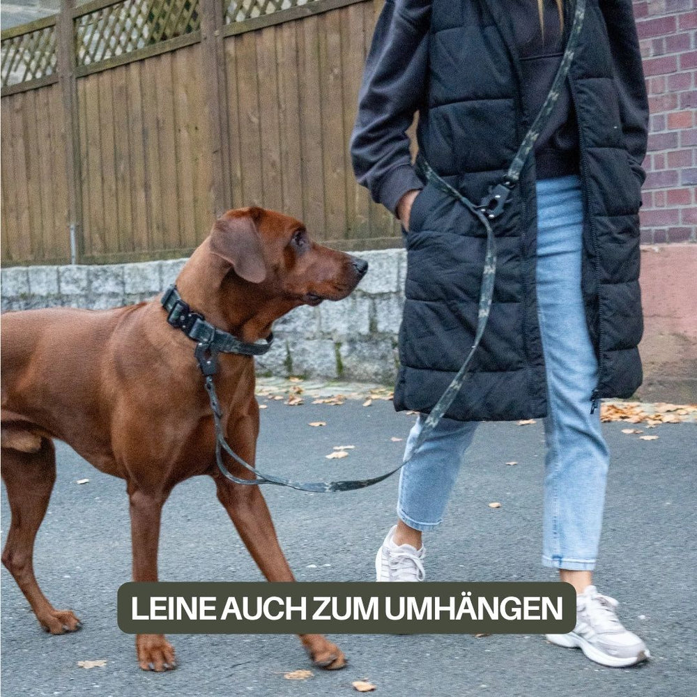 Frau mit schwarzer Weste und Jeans geht mit mittelgroßem Hund und verstellbarer WOOFLEX® Froschkarabiner-Leine spazieren.