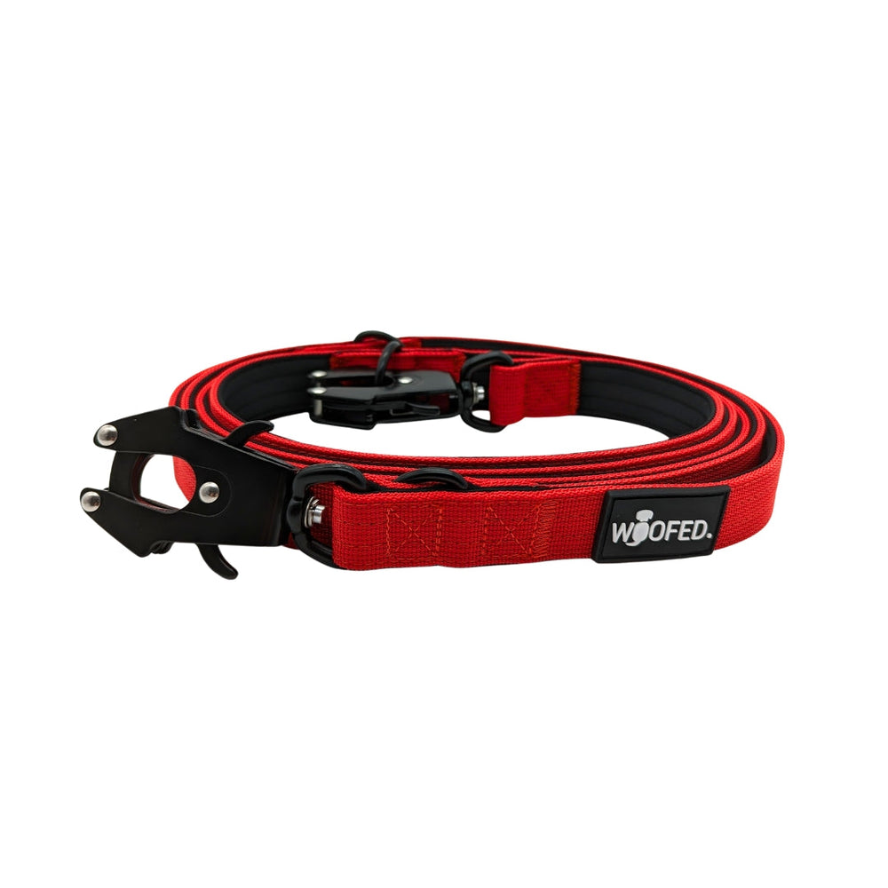 Rote, robuste Hundeleine aus Nylon mit stabilen Froschkarabiner und gepolstertem Griff für optimalen Halt.