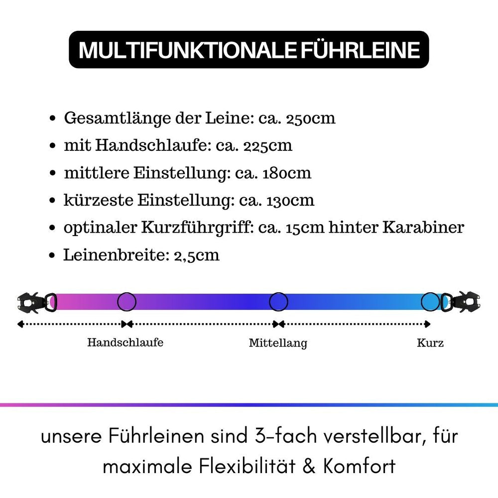Multifunktionale NYLON Führleine mit Froschkarabiner, 250 cm lang, ideal für Hunde mit 3 Einstellmöglichkeiten.