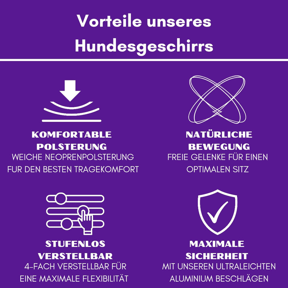 Y-Hundegeschirr mit Griff: Vorteile wie komfortable Polsterung, Sicherheit, einfache Handhabung und verstellbare Größe.