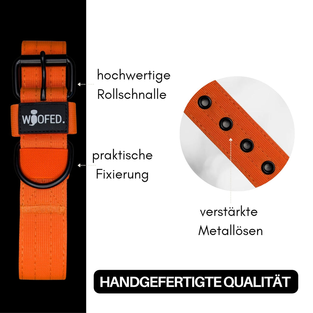 Nylon Classic Halsband in Orange mit Rollenschnalle, verstärkten Metallösen und Neoprenpolsterung für hohen Komfort und Siche