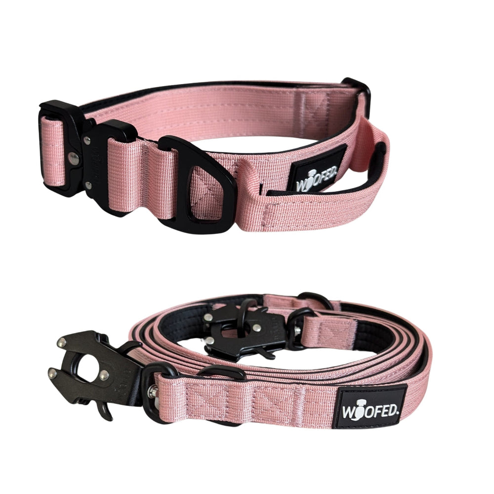 Ultraleichtes pinkfarbenes Nylon Halsband-Leine-Set mit verstellbaren Schnallen und stabilem Verschluss für Hunde.