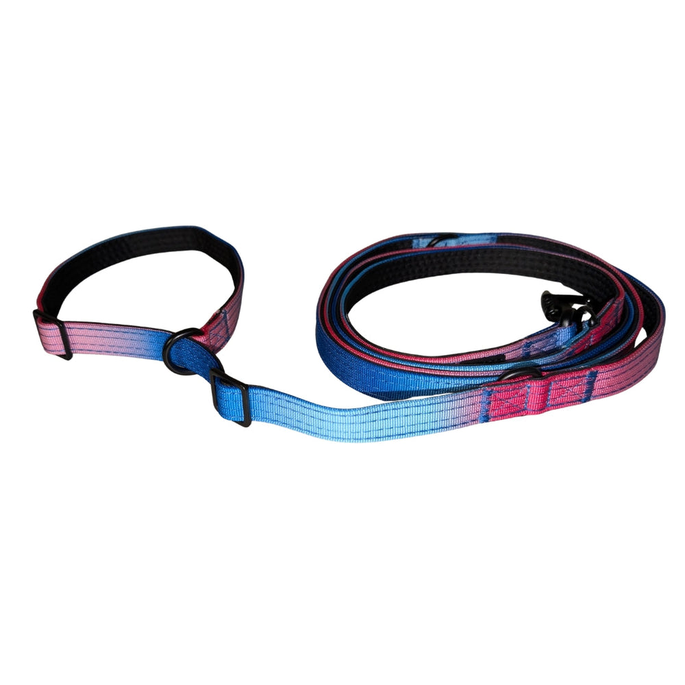 Verstellbare Nylon Retrieverleine von WOOFED in Pink-Blau mit gepolstertem Griff, ideal für Hundehalter und Training.