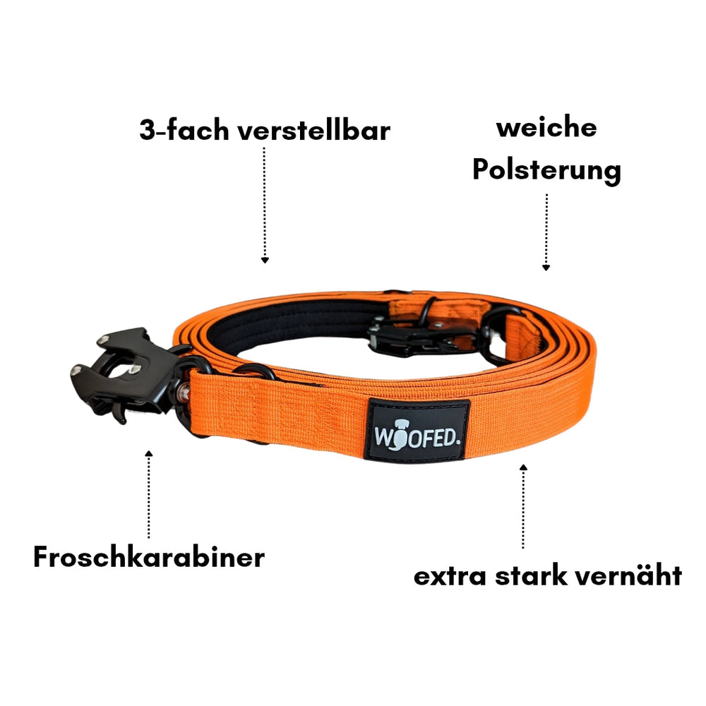 Orange Hundeleine aus nylon mit Froschkarabiner, drei Verstellmöglichkeiten und weicher Polsterung für optimalen Komfort.