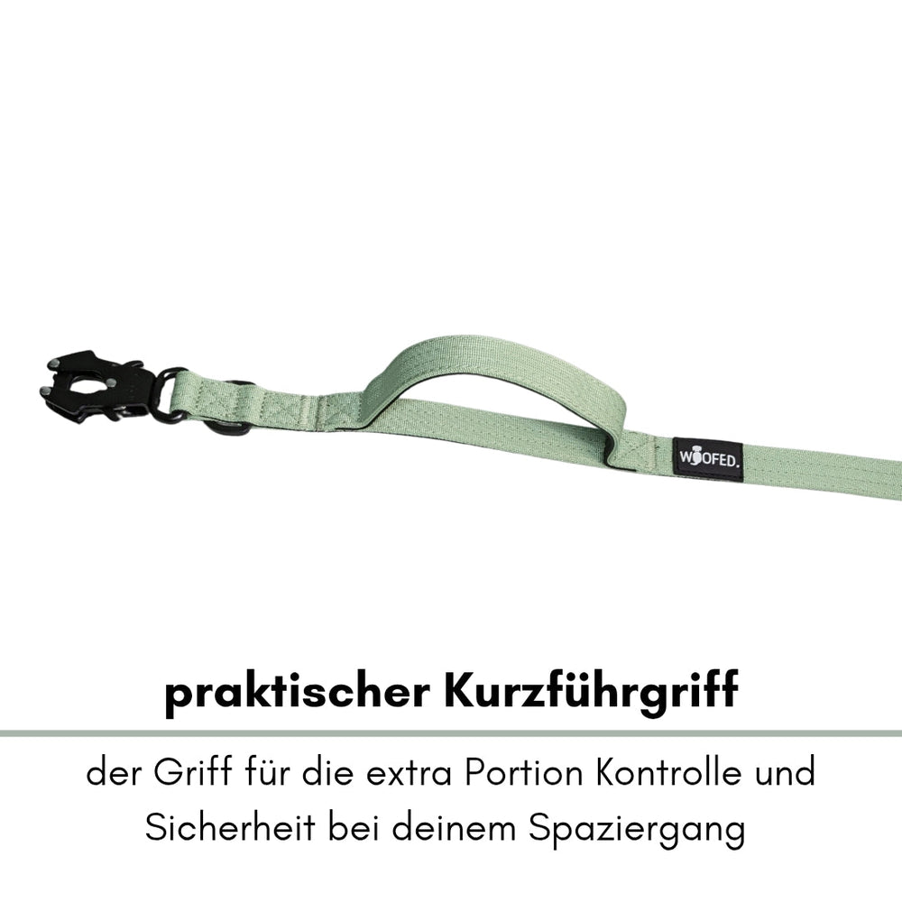 Praktische Hundeleine mit sattem Grünton und stabilem Froschkarabiner für mehr Kontrolle und Sicherheit beim Spaziergang.