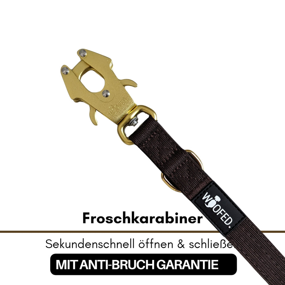 Froschkarabiner in Goldfarbe an strapazierfähigem, dunkelbraunen Gurt für eine sichere Leinenbefestigung.