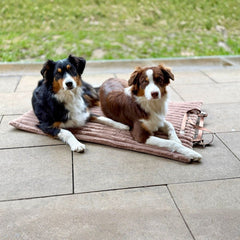 Zwei entspannte Hunde liegen auf einer gepolsterten Reisedecke auf einem gepflasterten Boden.