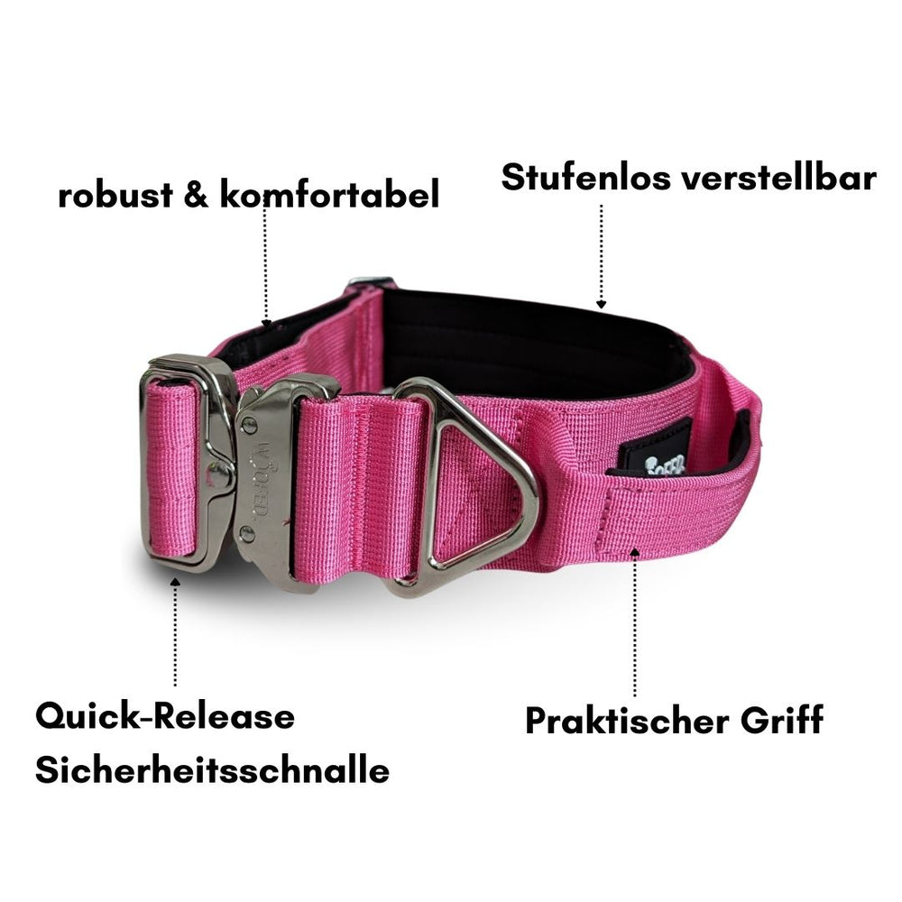 Pinkes Nylon-Hundehalsband für kleine Hunde, stufenlos verstellbar mit Aluverschluss und Quick-Release Sicherheitsschnalle.