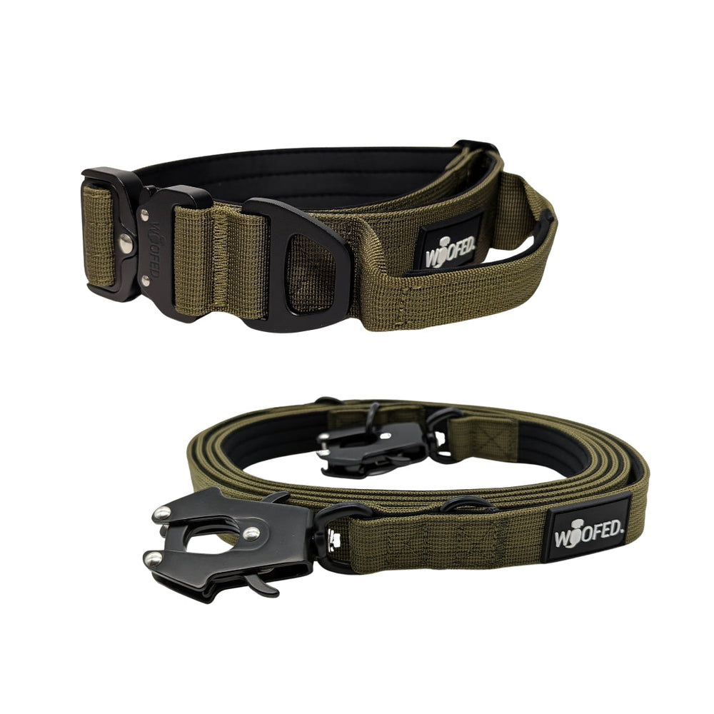 Robuste olivgrüne Nylon-Hundeleine mit stabilem Karabiner und verstellbarem Gurtband für Outdoor-Aktivitäten.