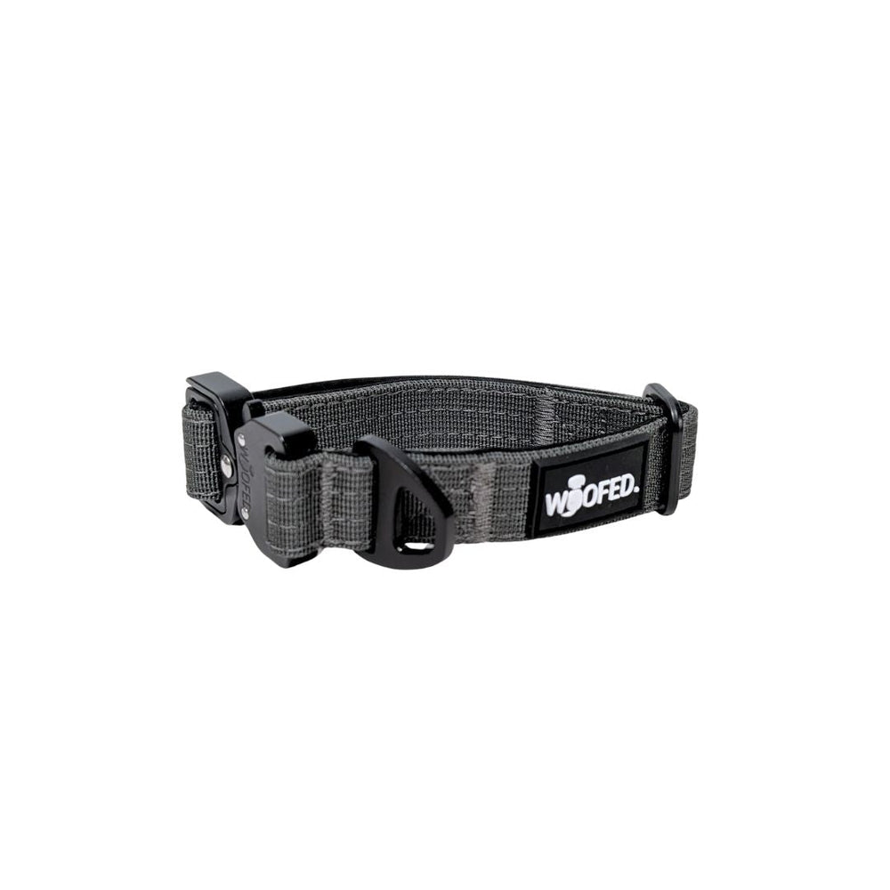 Graues Nylon Hundehalsband mit Griff, verstellbarer Schnalle und WOOFED-Logo, ultraleicht und robust.