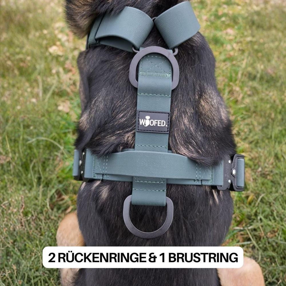 Olivgrünes Y-Hundegeschirr WOOFLEX® mit Griff und mehreren Befestigungsringen für Leinen und Zubehör.