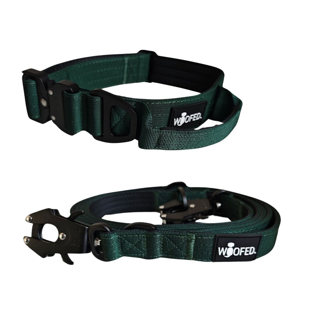 Nylon Halsband-Leine-Set in grün für Hunde, robust, leicht und mit sicherem Verschluss von WOOFED für maximale Kontrolle.