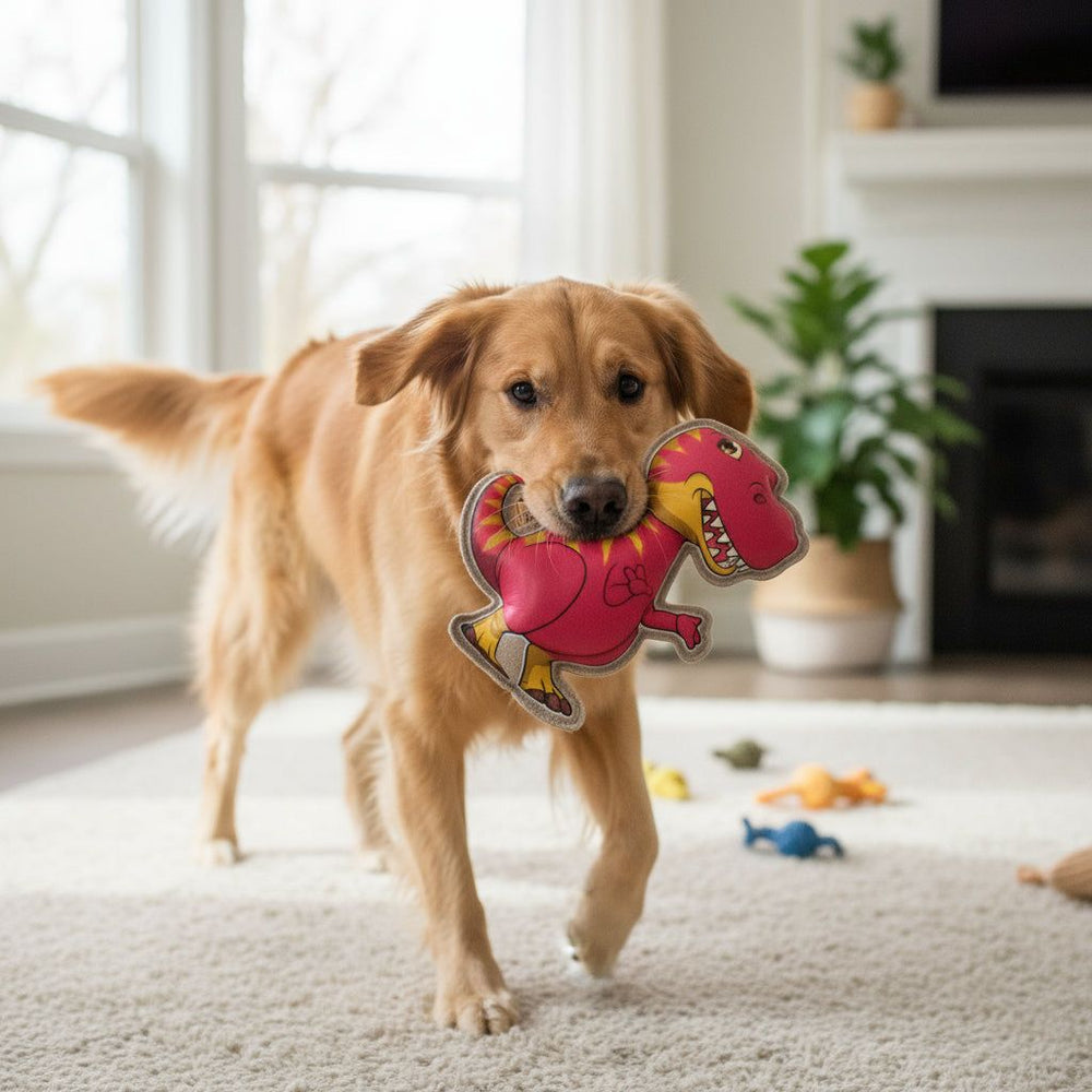 golden retriever Hund mit Dinosaurier-Spielzeug "Dino" im Maul, fröhlich in hellem Raum mit Teppich und Pflanzen
