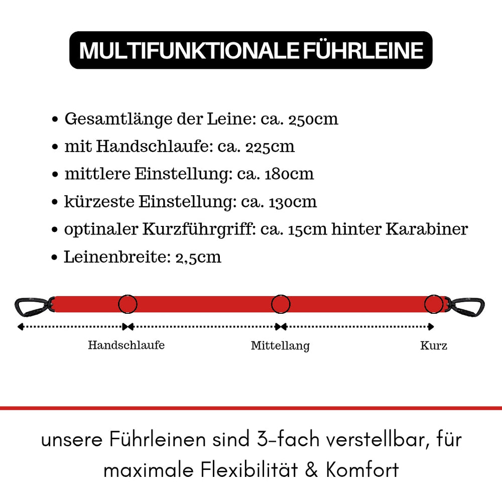 Mehrfarbige Hunde-Führleine aus Nylon mit Sicherheitskarabiner, verstellbar auf 250 cm, ideal für Spaziergänge.
