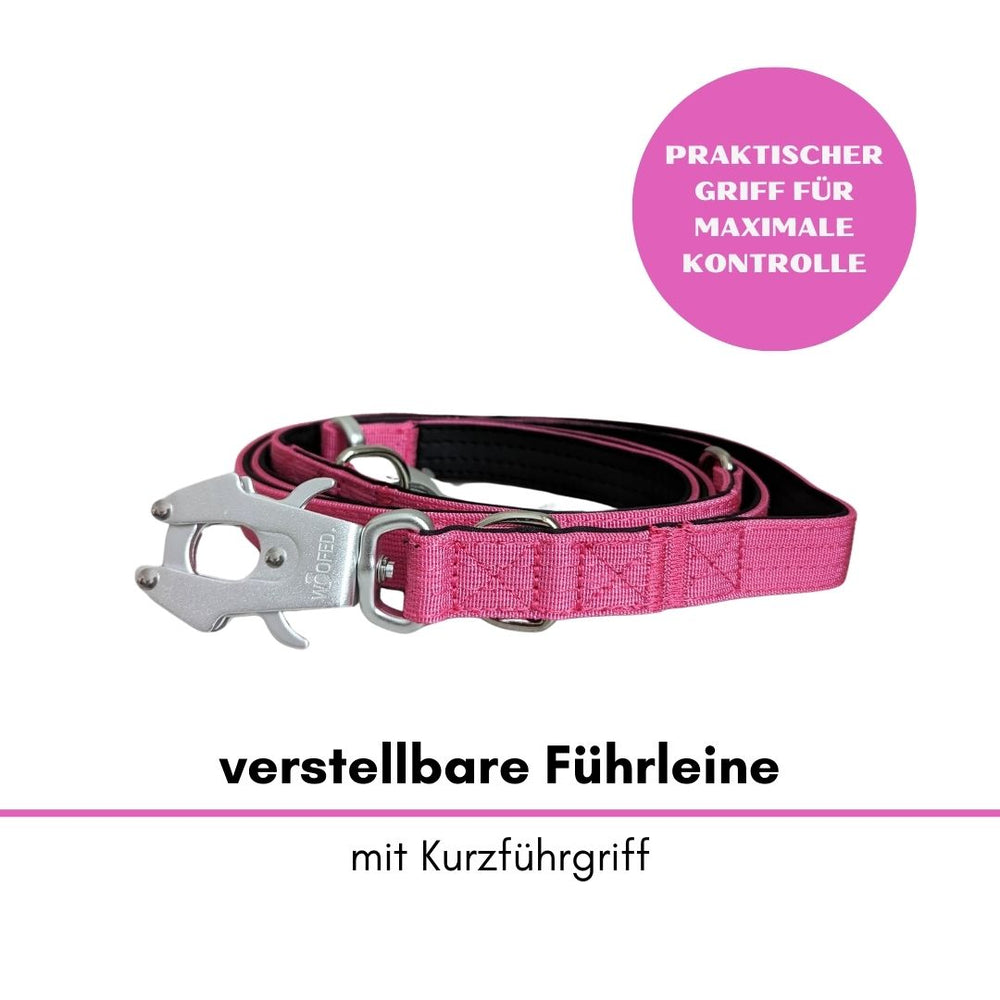 Verstellbare Nylon-Führleine in Pink mit Froschkarabiner und praktischem Griff für optimale Kontrolle.