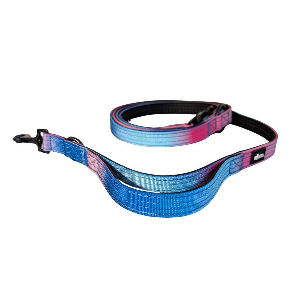 Nylon Führleine Classic in Blau-Pink mit stabilen Karabinerhaken und weichem, gepolstertem Griff für Hunde.