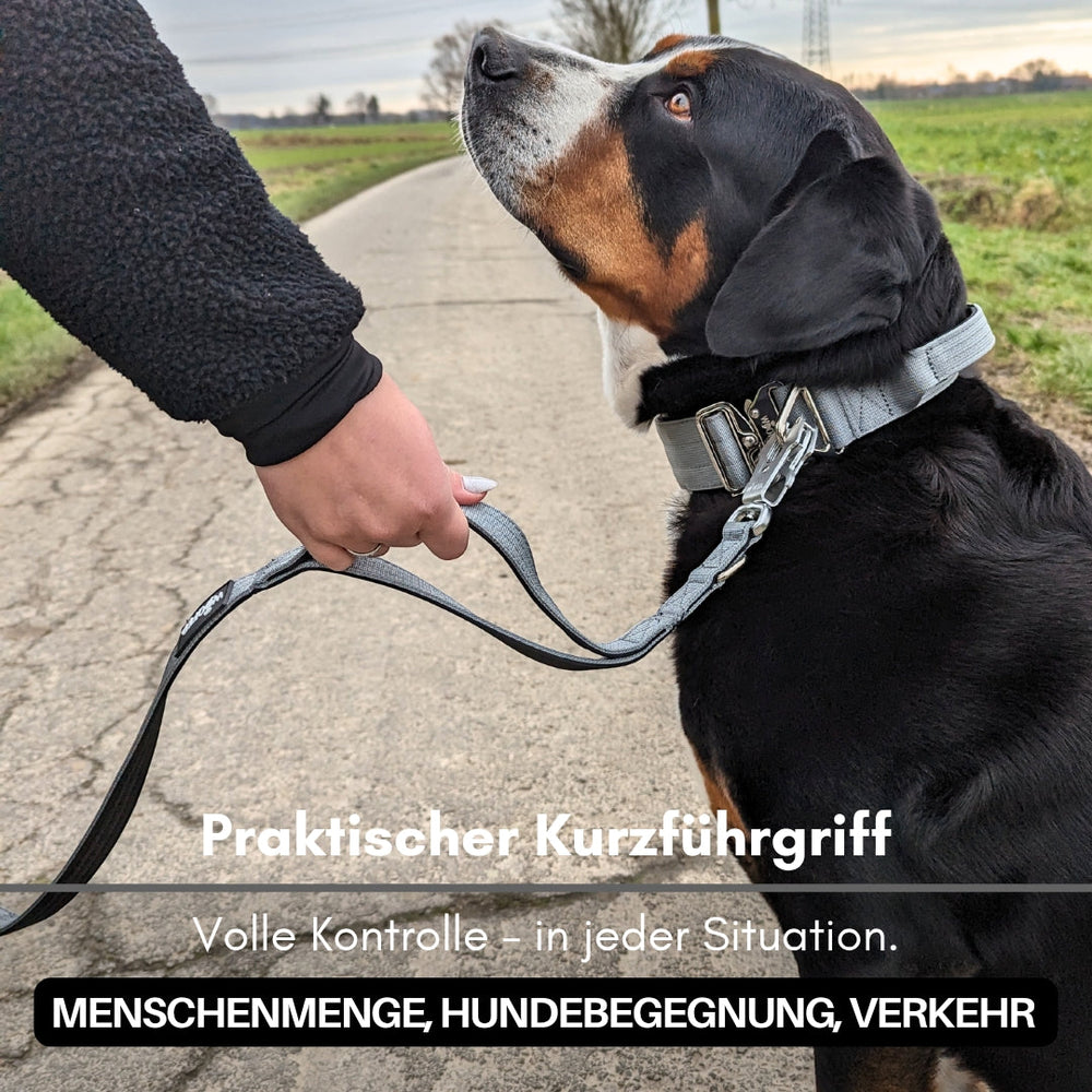 Hund an einer robusten Nylon-Leine mit Froschkarabiner, in einer malerischen Umgebung mit Bäumen unterwegs.