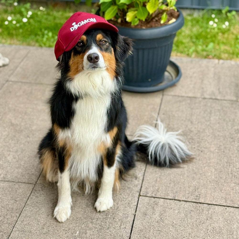 Cap "Dogmom" in Rot mit gesticktem Schriftzug, perfekt für Hundeliebhaber und lässige Outfits im Freien.