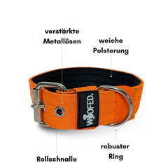 Nylon Classic Halsband in Orange mit Neoprenpolsterung, Metallösen und stabiler Rollschließe für Hundekomfort und Sicherheit.
