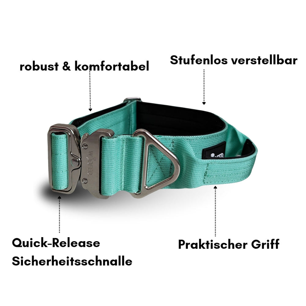 "Mintgrünes Nylon-Halsband für kleine Hunde mit Aluverschluss, verstellbar und mit Sicherheits-schnalle ausgestattet."