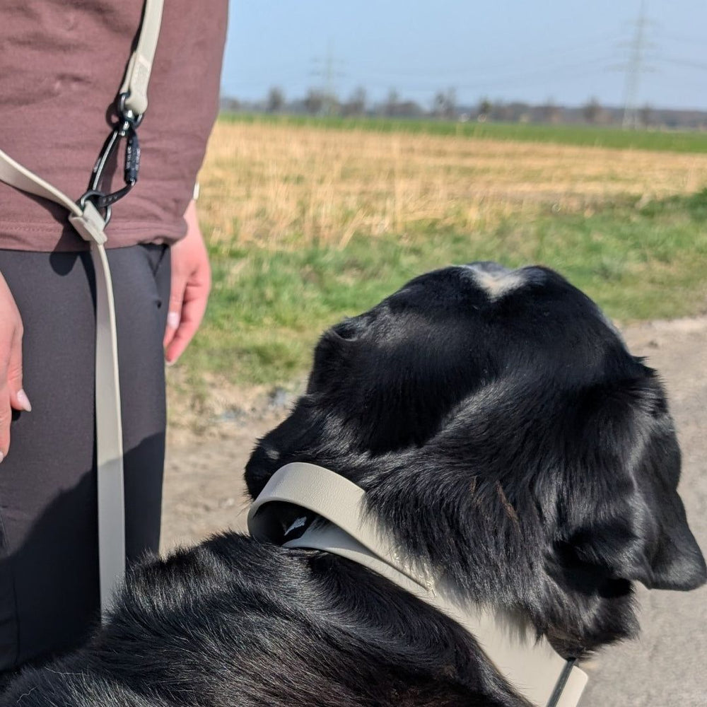 Sportliche Person hält Hund an WOOFLEX® Pro Umhängeleine in ländlicher Umgebung mit Feldern im Hintergrund.
