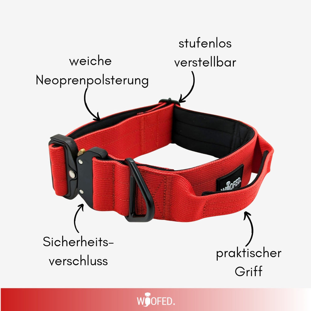 Rotes Halsband aus Nylon für kleine Hunde, mit Neoprenpolster, stufenlos verstellbar und Sicherheitsverschluss.